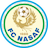 Escudo de Nasaf