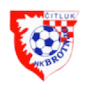 Escudo de Brotnjo