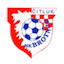 Escudo de Brotnjo