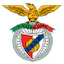 Escudo de Benfica Castelo Branco