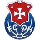 Escudo de Oliveira Hospital