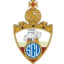 Escudo de Vianense