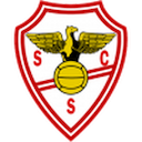 Escudo de Salgueiros
