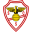 Escudo de Salgueiros