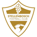 Escudo de Stellenbosch