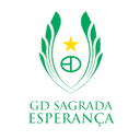 Escudo de Sagrada Esperança
