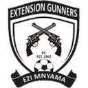 Escudo de Extension Gunners