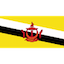 Escudo de Brunei