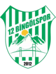 Escudo de 12 Bingölspor