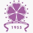 Escudo de Güzide Gebzespor