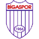 Escudo de Bigaspor