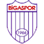 Escudo de Bigaspor