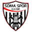 Escudo de Somaspor