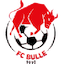 Escudo de Bulle
