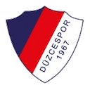 Escudo de Düzcespor