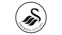 Escudo de Swansea