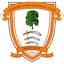 Escudo de Ashford Town (Middlesex)