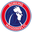 Escudo de Dorking Wanderers
