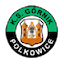 Escudo de Górnik Polkowice