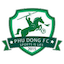 Escudo de Phu Dong