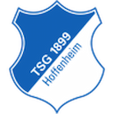 Escudo de Hoffenheim II