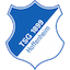 Escudo de Hoffenheim II