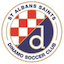 Escudo de St. Albans Saints