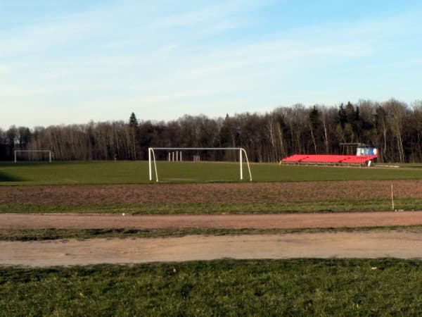 Imagen del estadio VDU Valdo Adamkaus stadionas