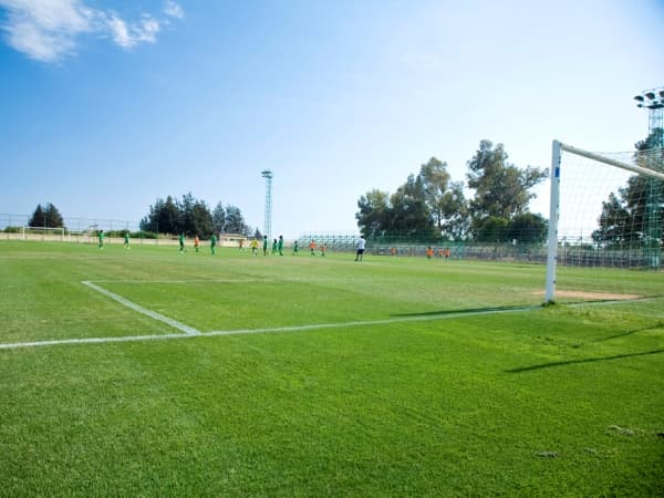 Imagen del estadio Dimotiko Stadio Pano Polemidias