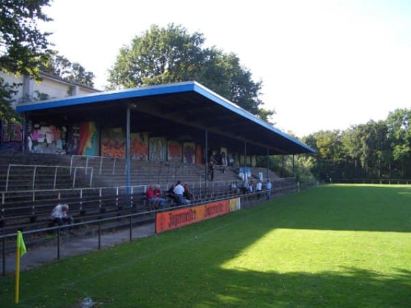 Imagen del estadio Stadion am Panzenberg