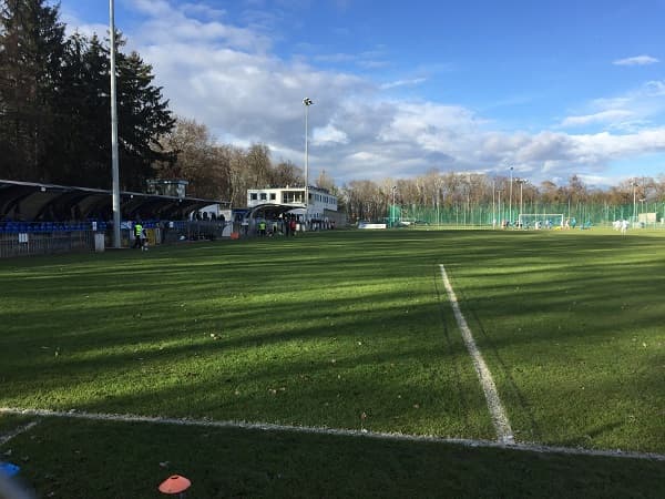 Imagen del estadio Wittmann Antal park