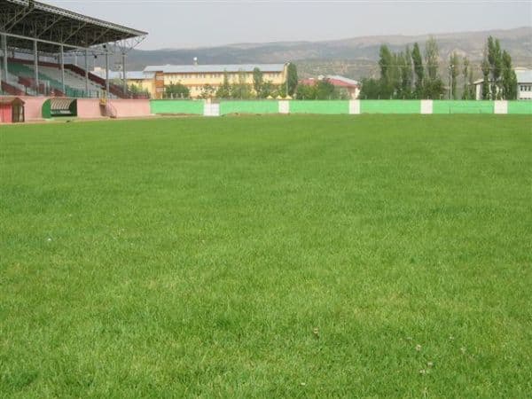 Imagen del estadio Bingöl Şehir Stadyumu